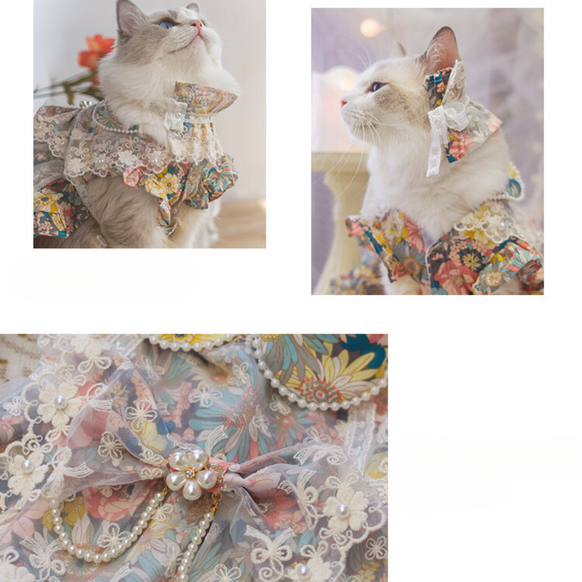 高台のガゼボより 海風と読書