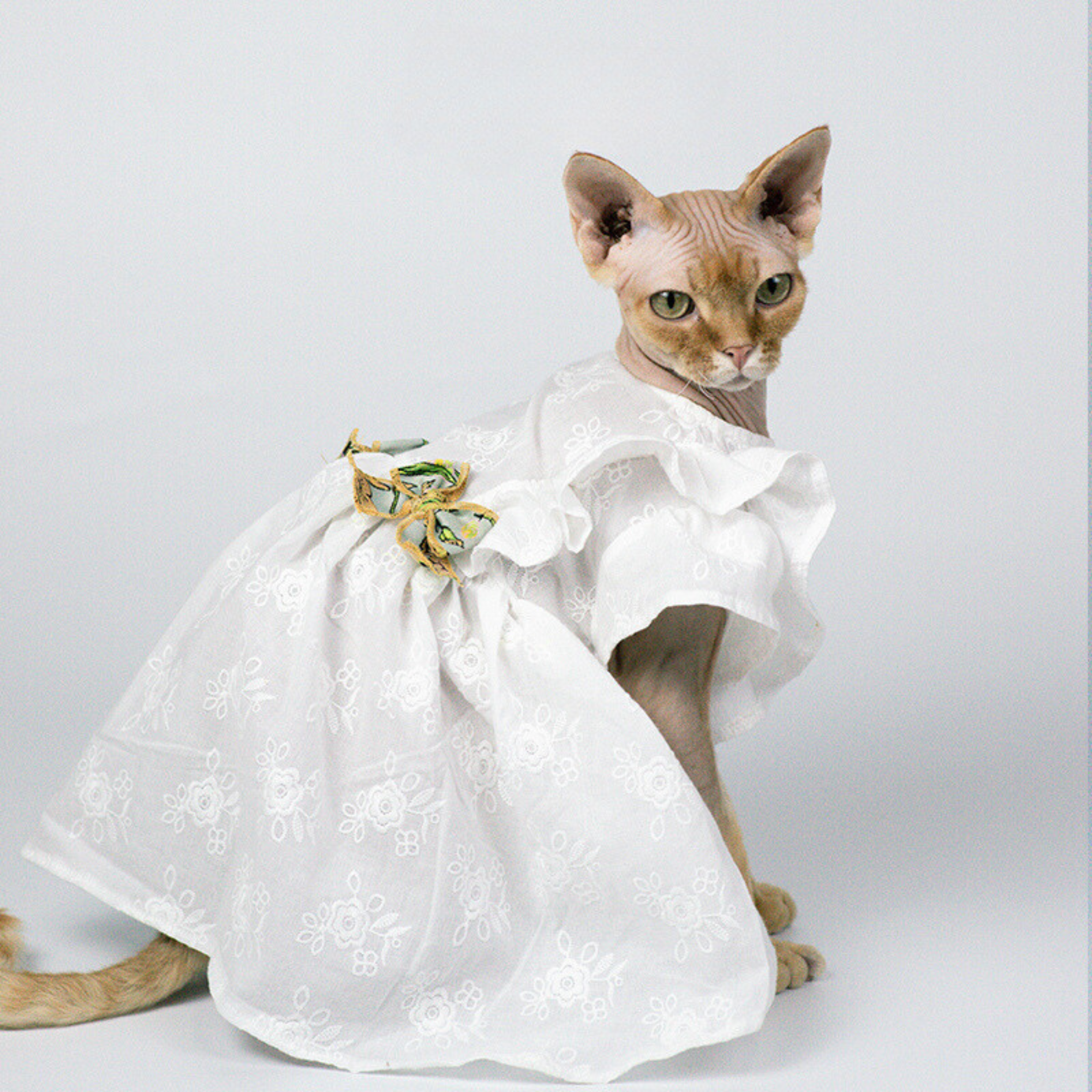 スイートキャット フレッシュドレス ワンピース