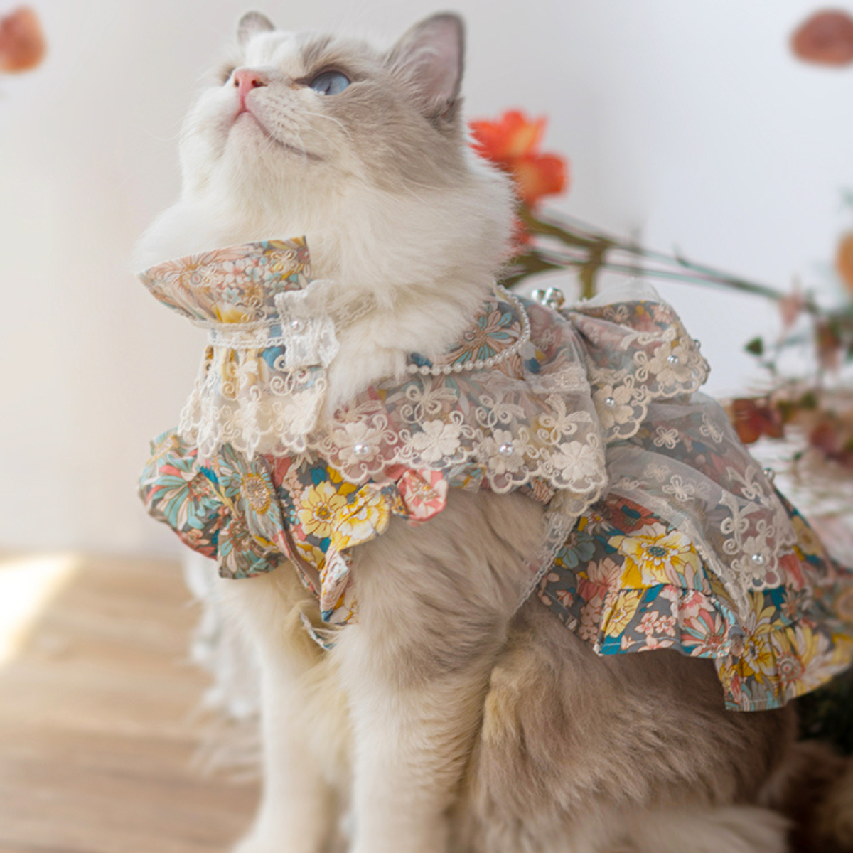 高台のガゼボより 海風と読書