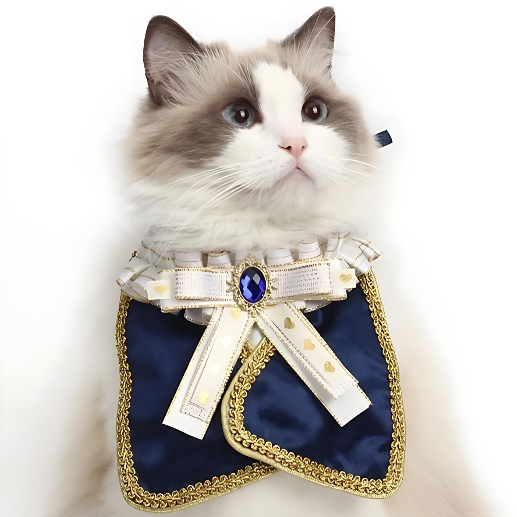 ロイヤルブルージュエルキャットスタイ