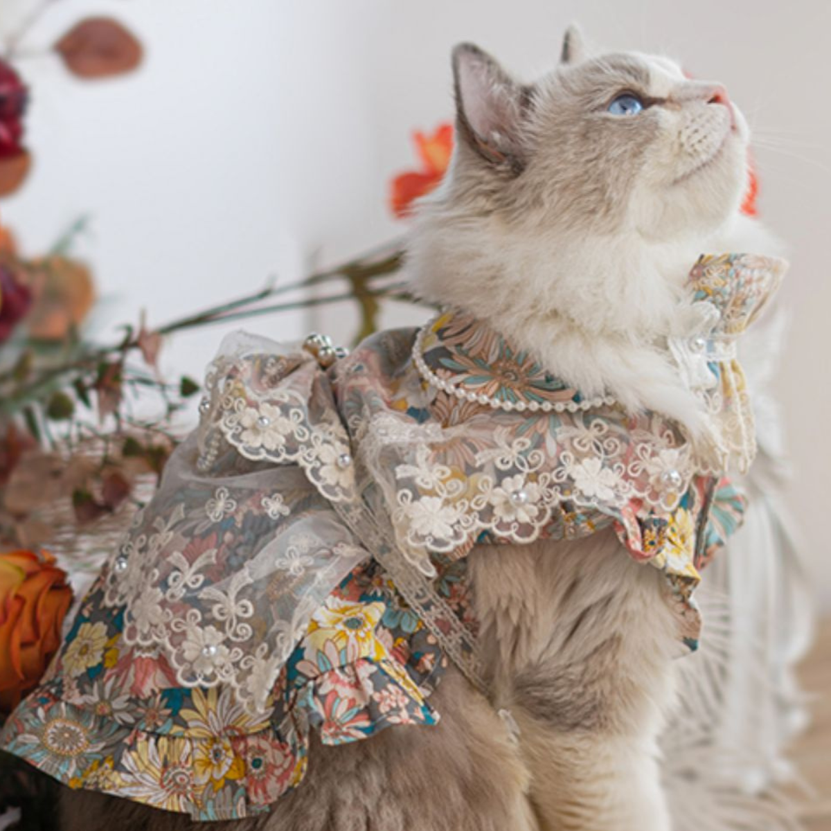 高台のガゼボより 海風と読書