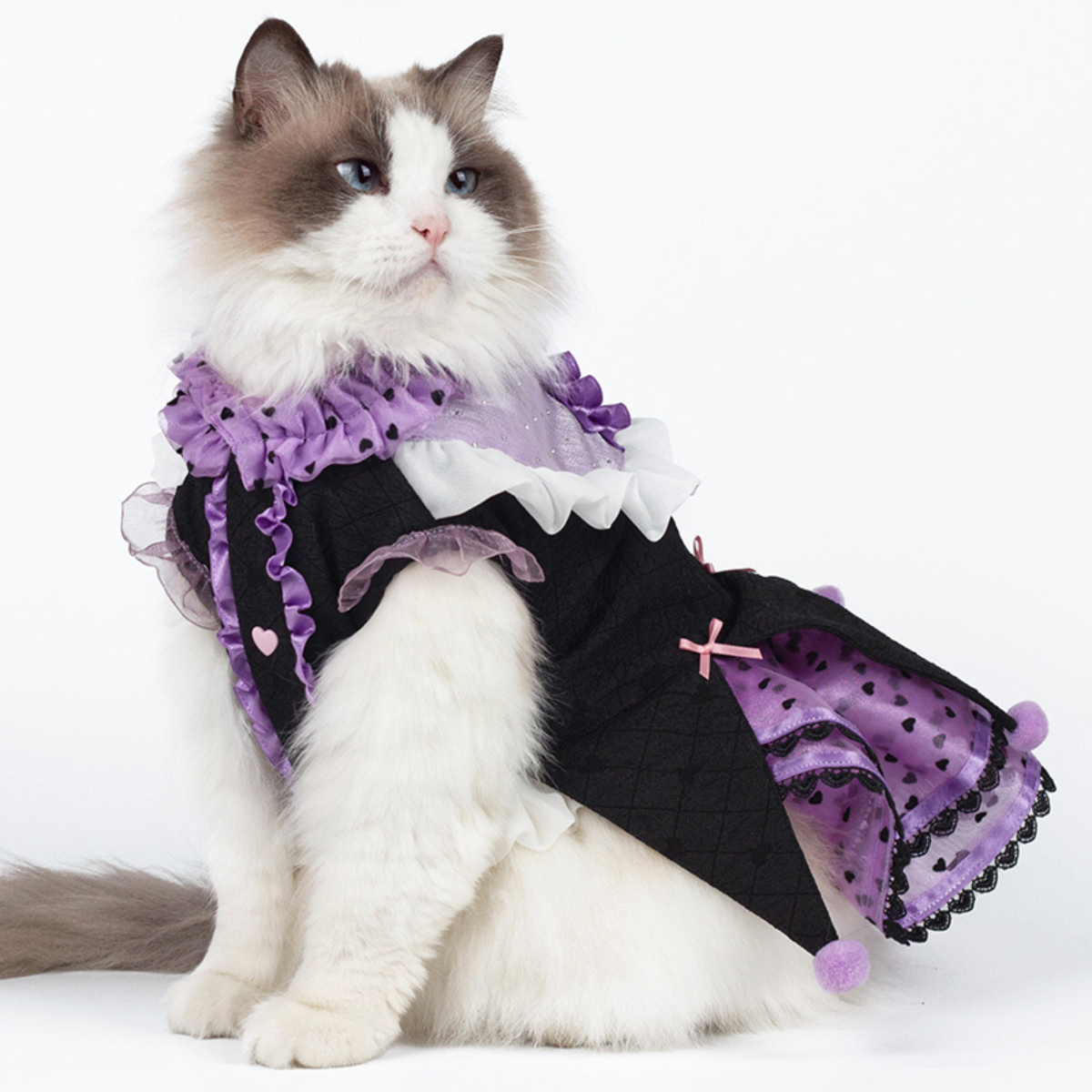 パープルハート パペットキャットドレス