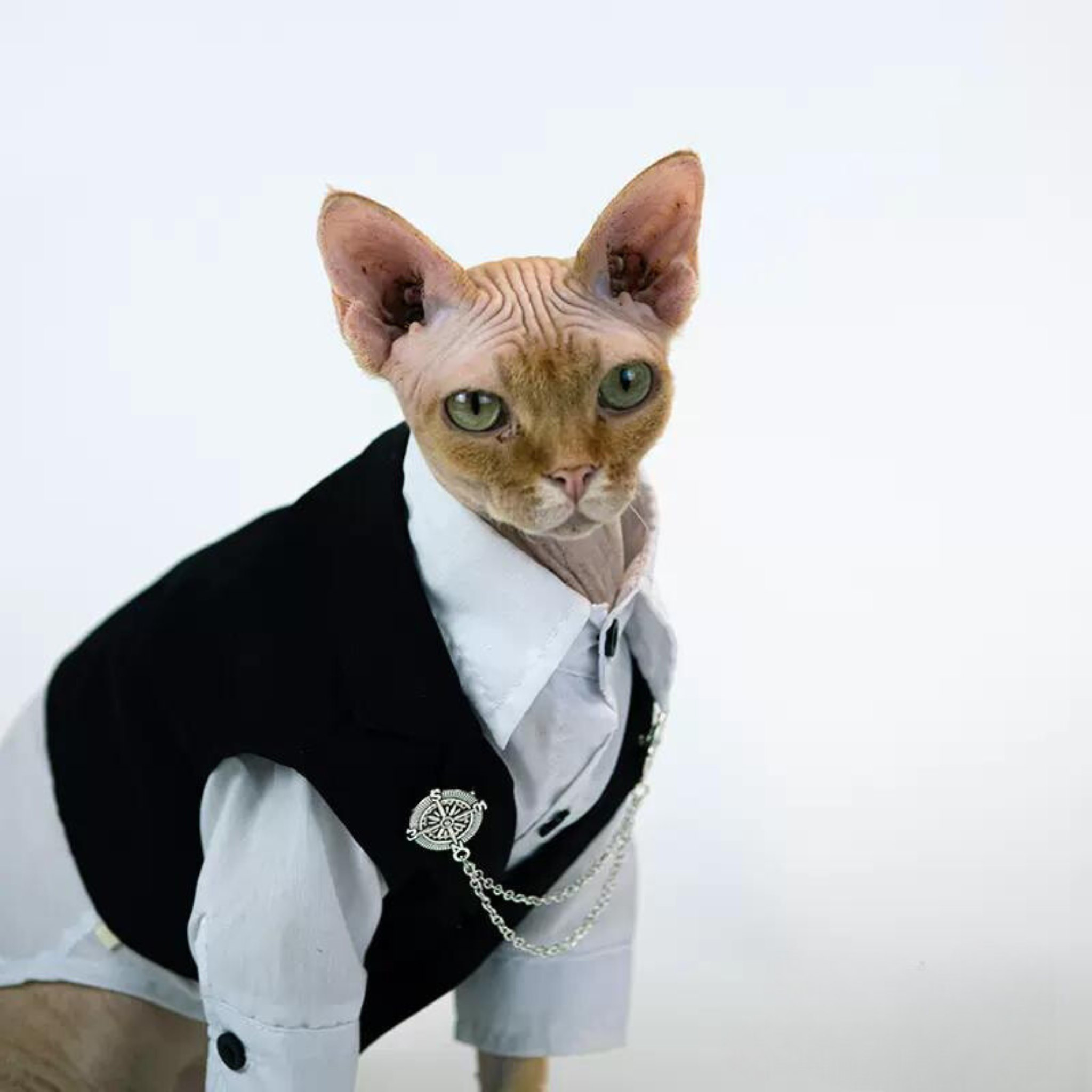 ジェントルミューズ・ロイヤルフォーマル