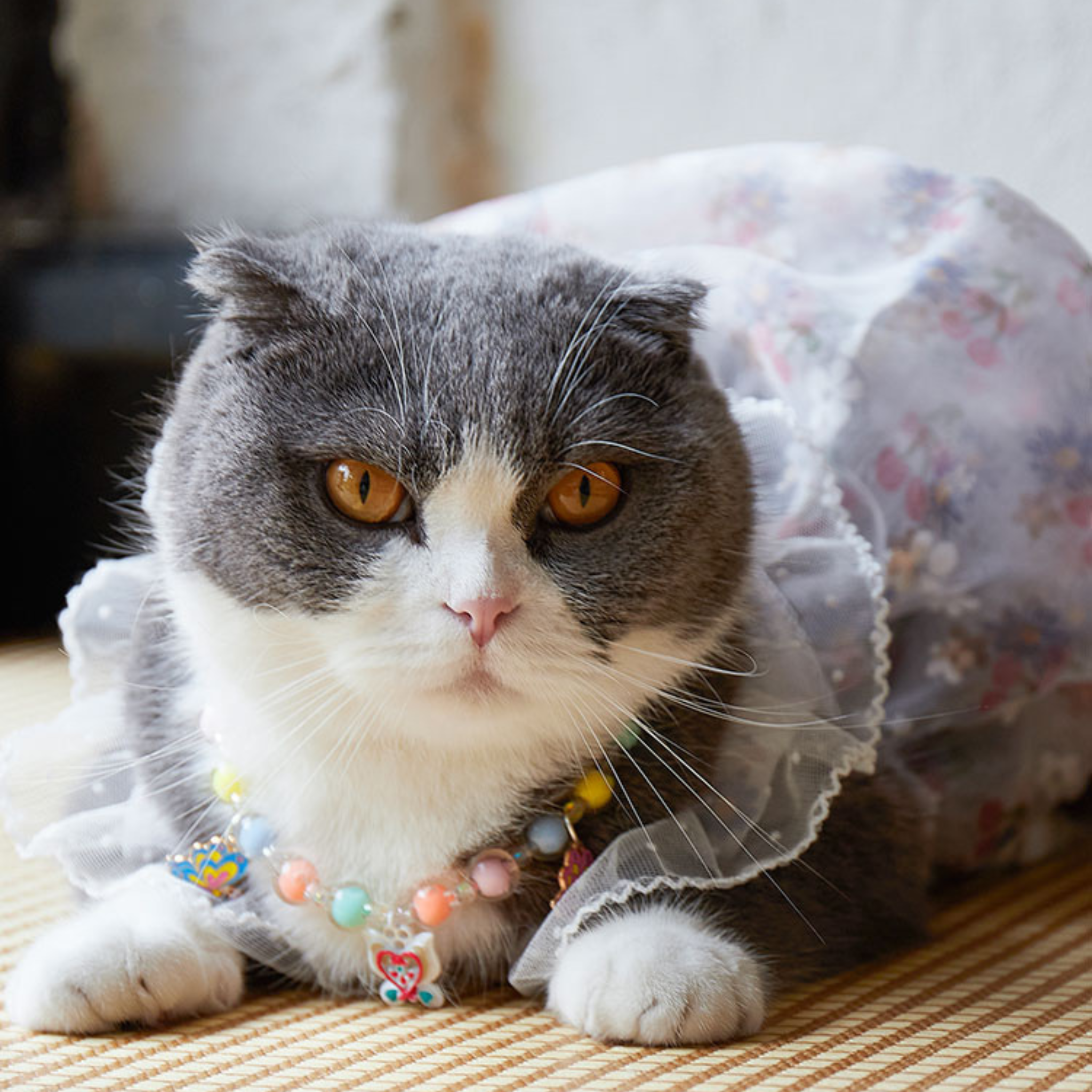 フラワー・ドレス