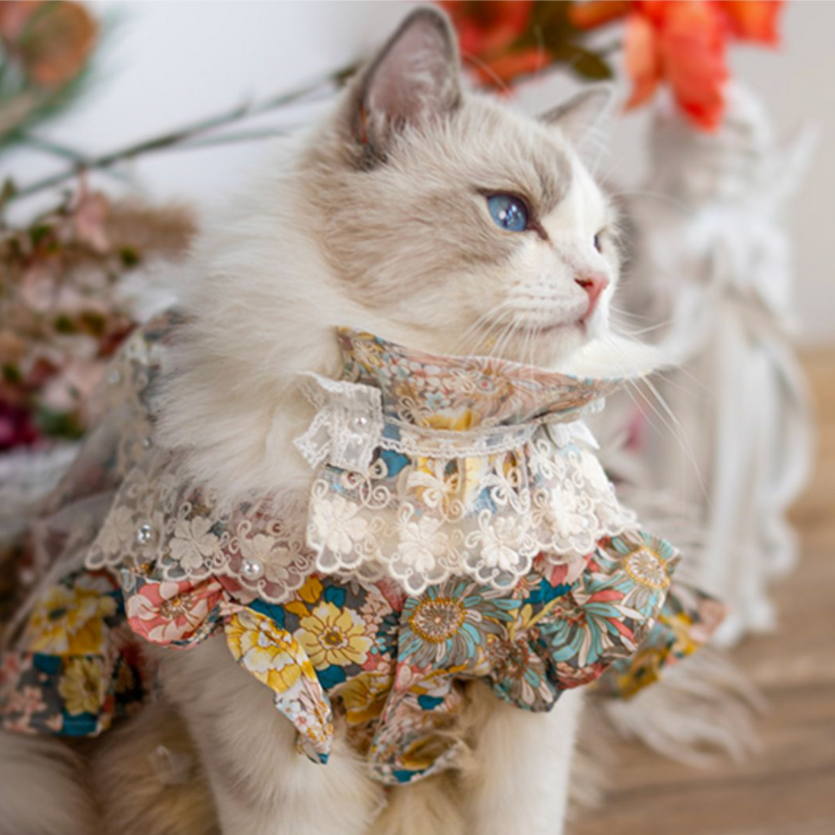 高台のガゼボより 海風と読書