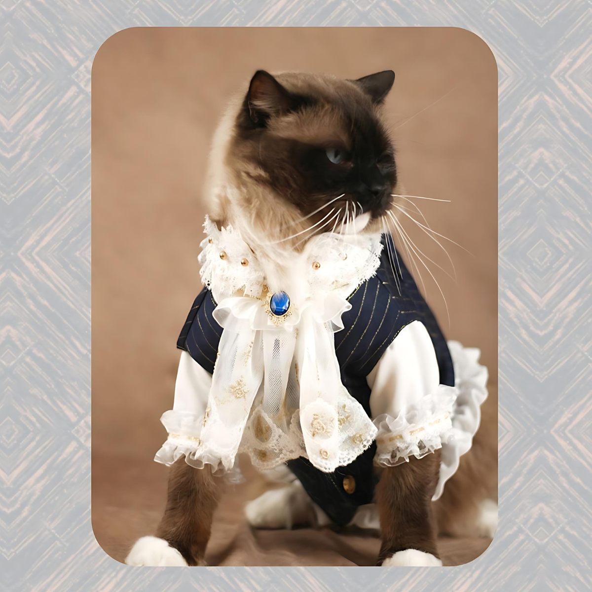 ヨーロピアンミッドナイト コート 4点セット