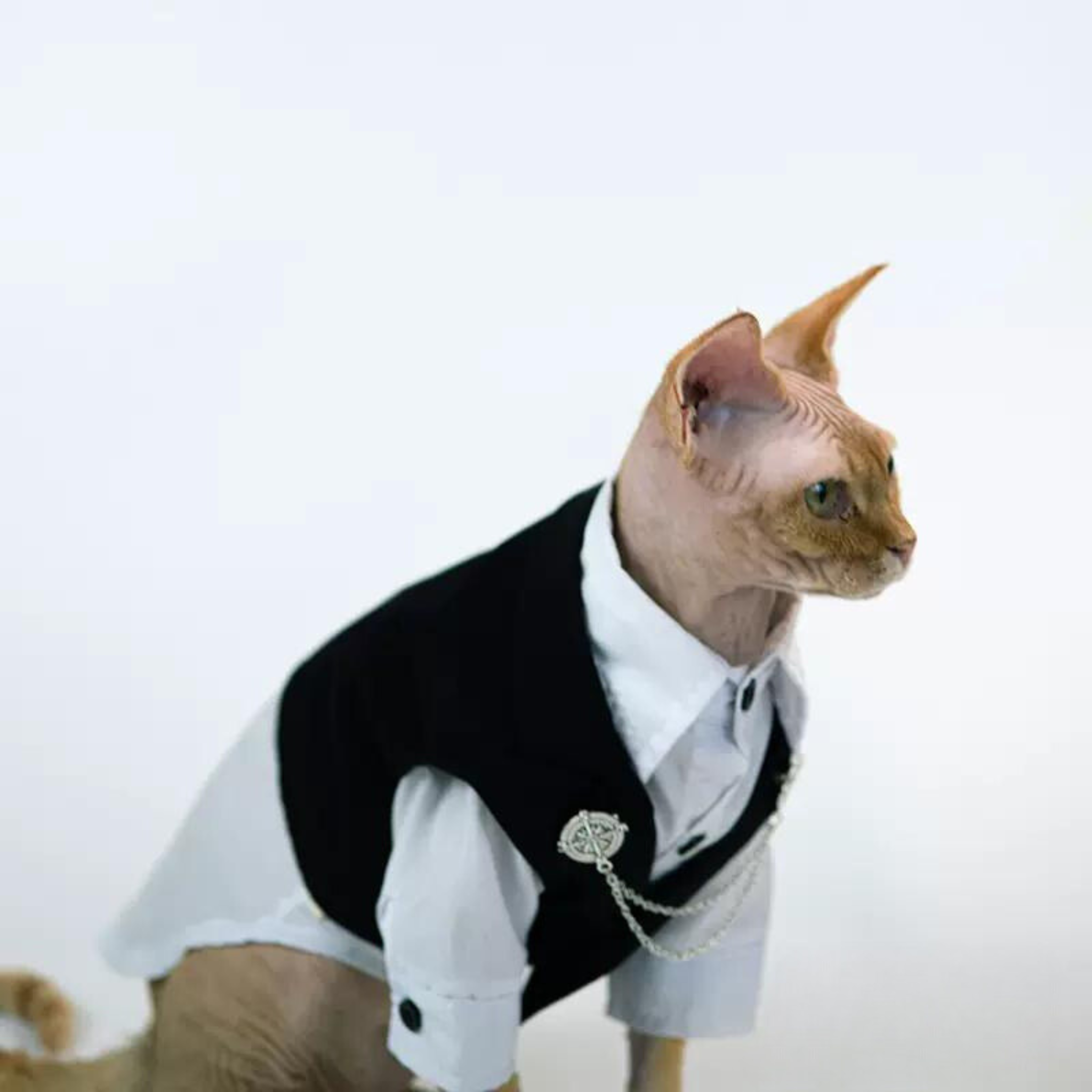 ジェントルミューズ・ロイヤルフォーマル