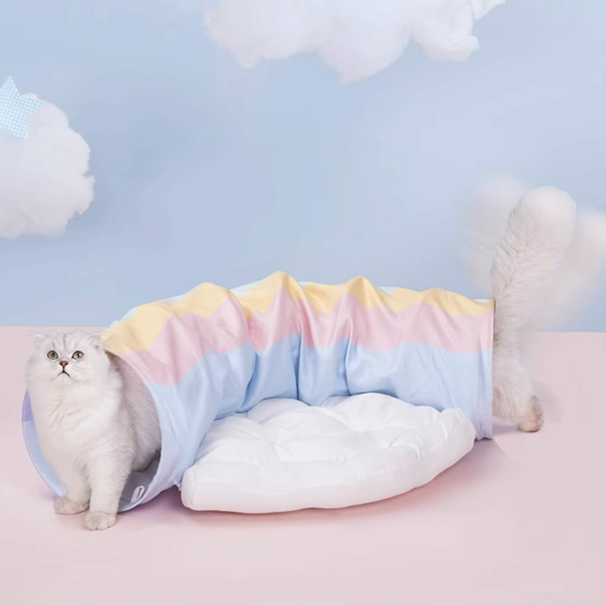 ドリームキャット・ルナトンネル