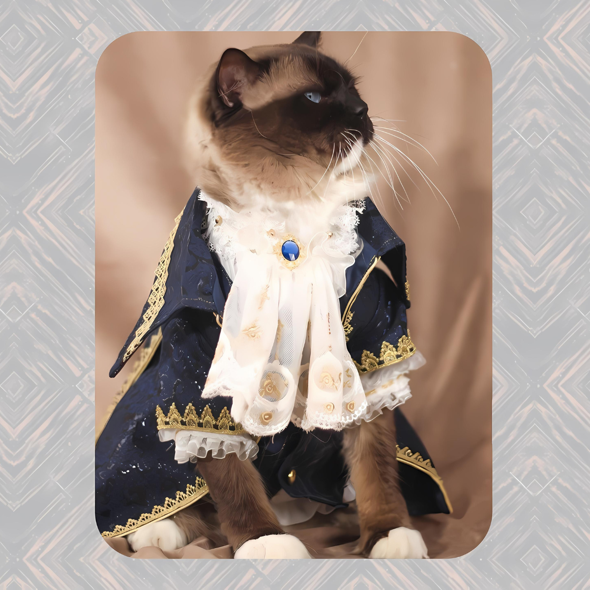 ヨーロピアンミッドナイト コート 4点セット