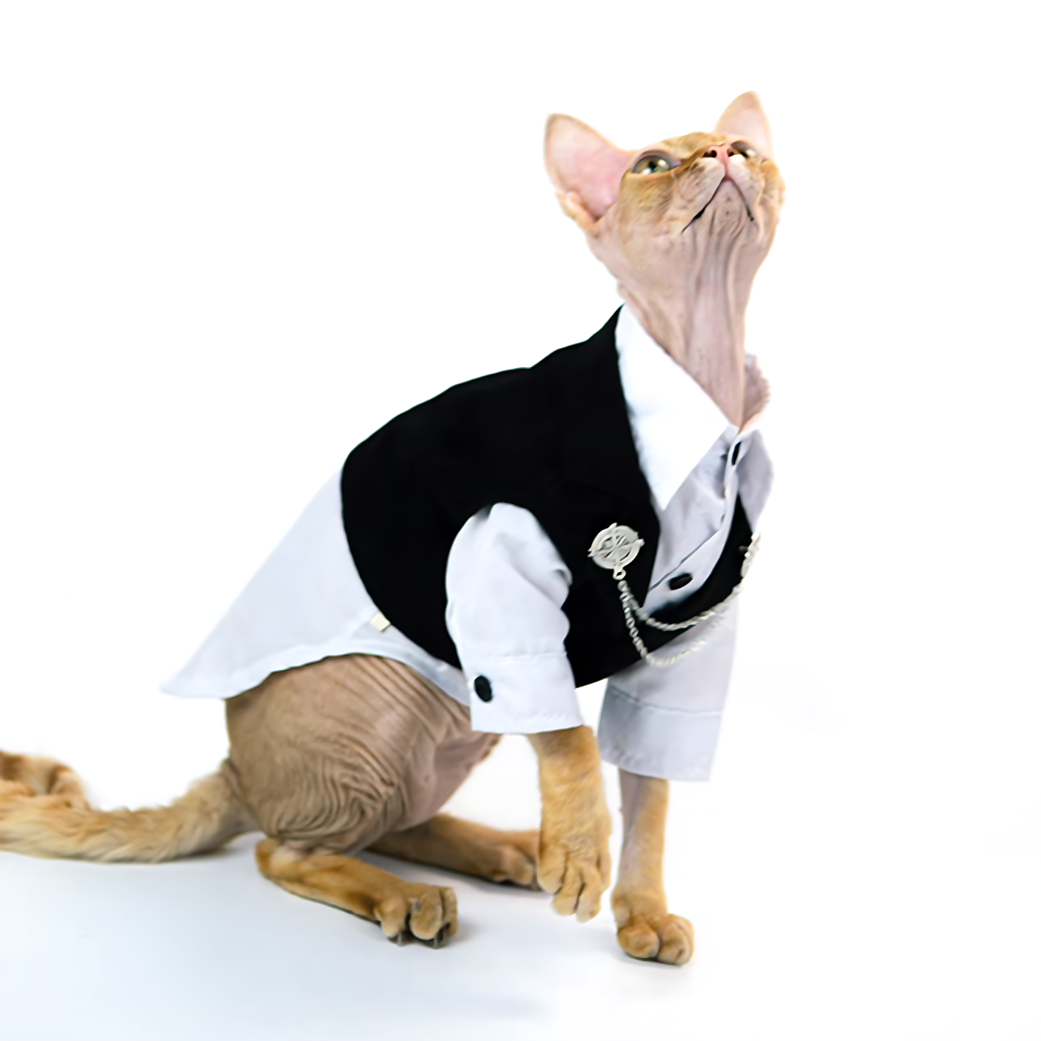 ジェントルミューズ・ロイヤルフォーマル