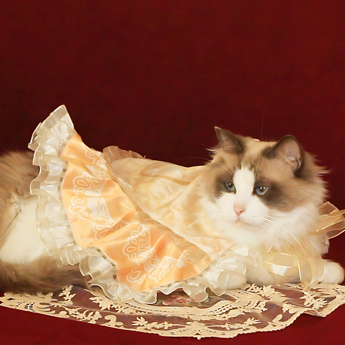 フレイヤ ゴージャス イエローマント