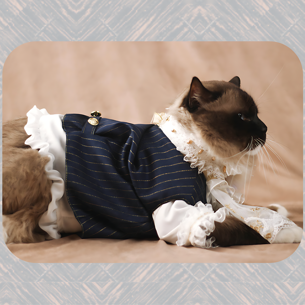 ヨーロピアンミッドナイト コート 4点セット