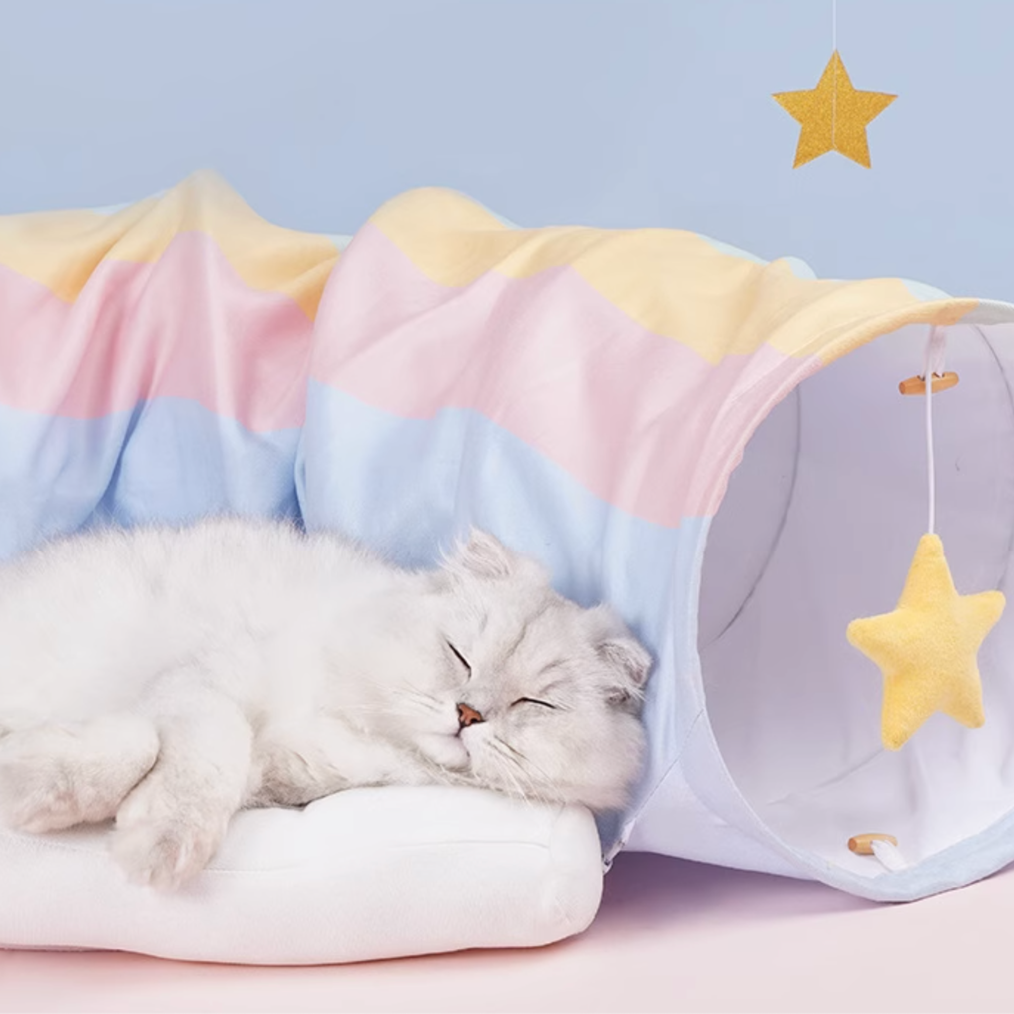 ドリームキャット・ルナトンネル