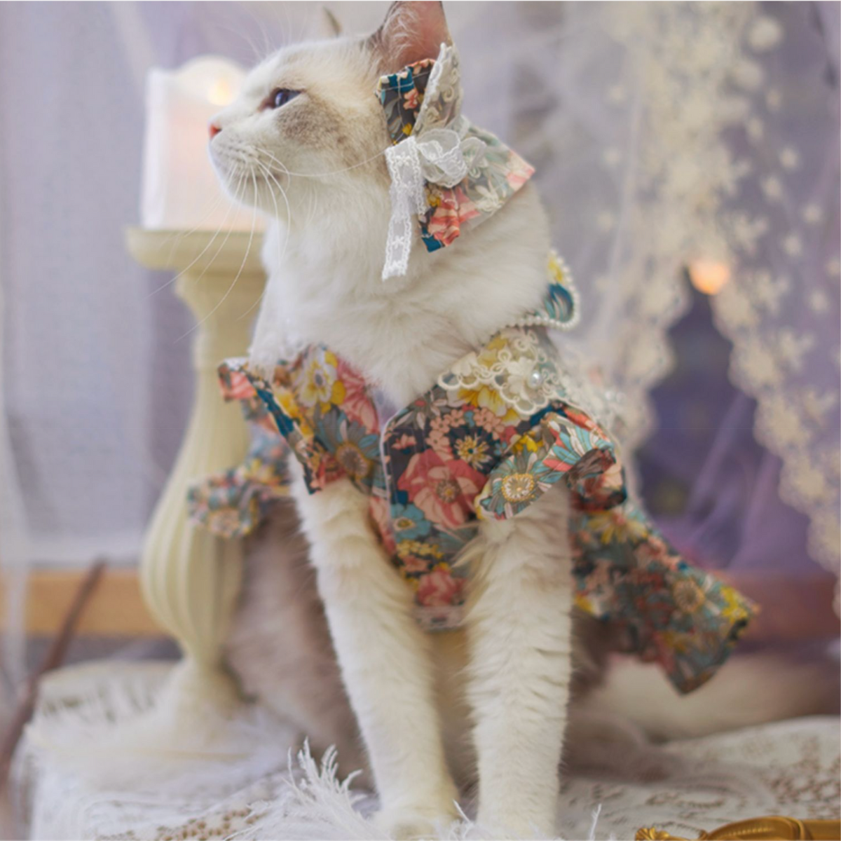 高台のガゼボより 海風と読書