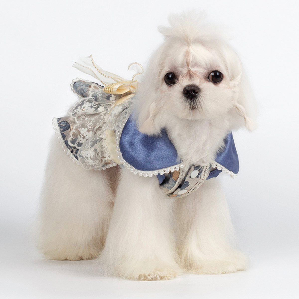 モネの庭 エンボスブルードレス