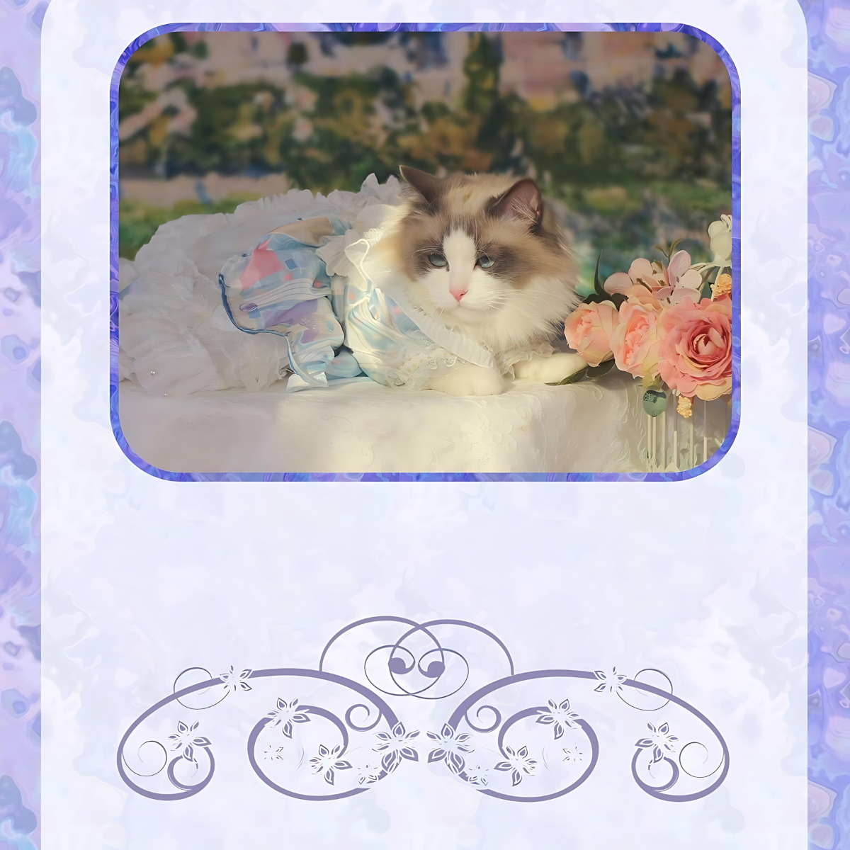 人形姫 プリンセスドレス