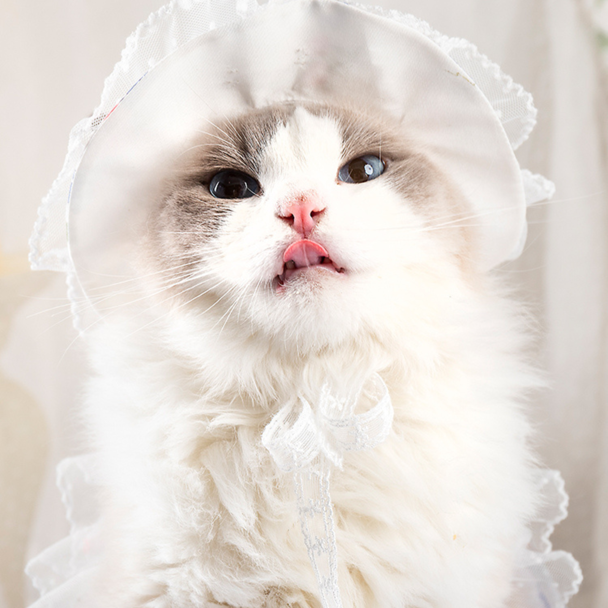 フラワー・ドレス