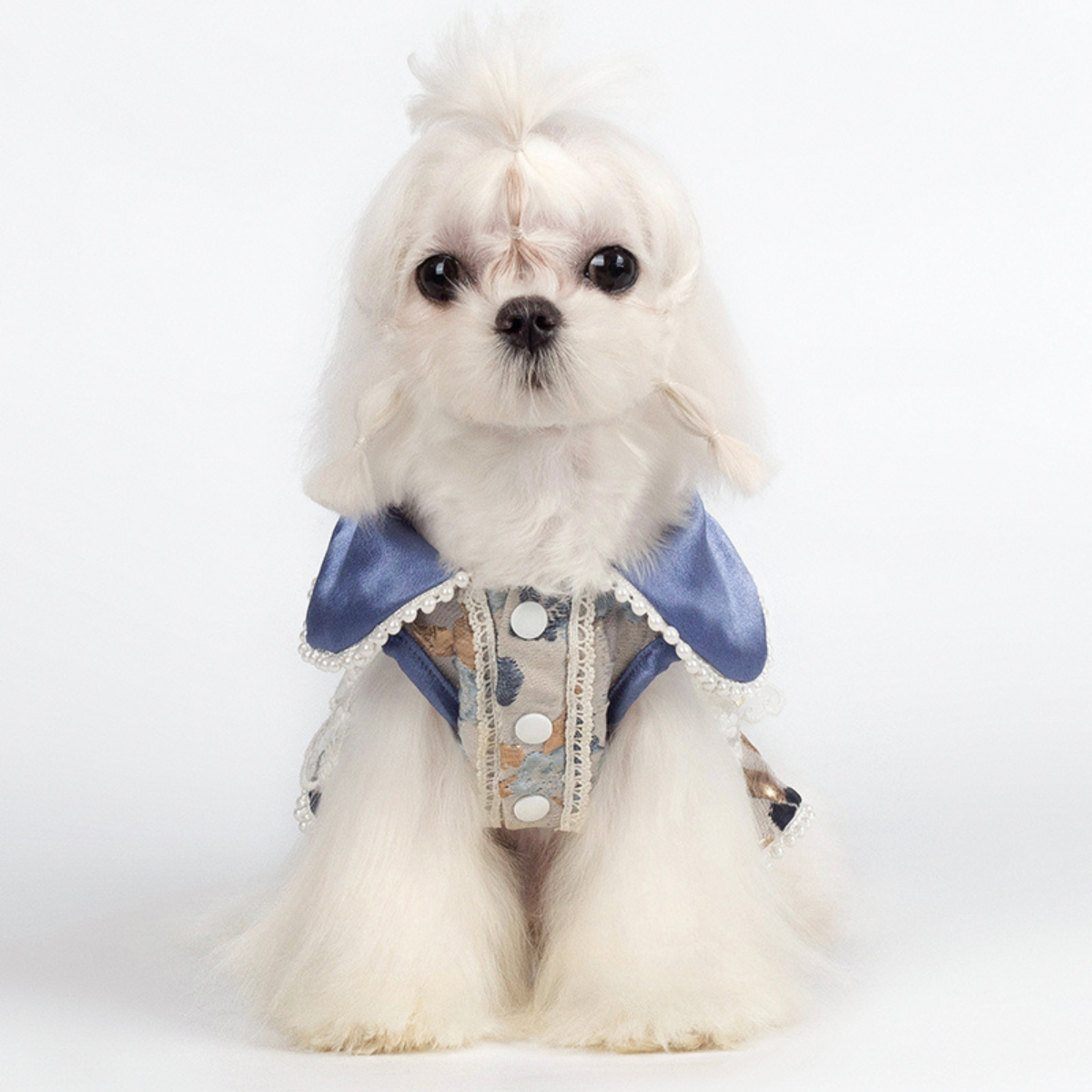 モネの庭 エンボスブルードレス