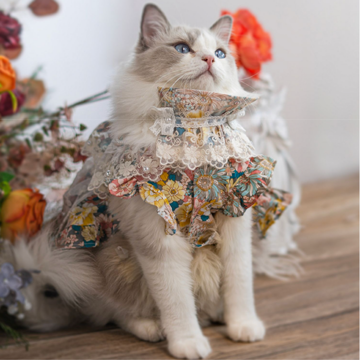 高台のガゼボより 海風と読書