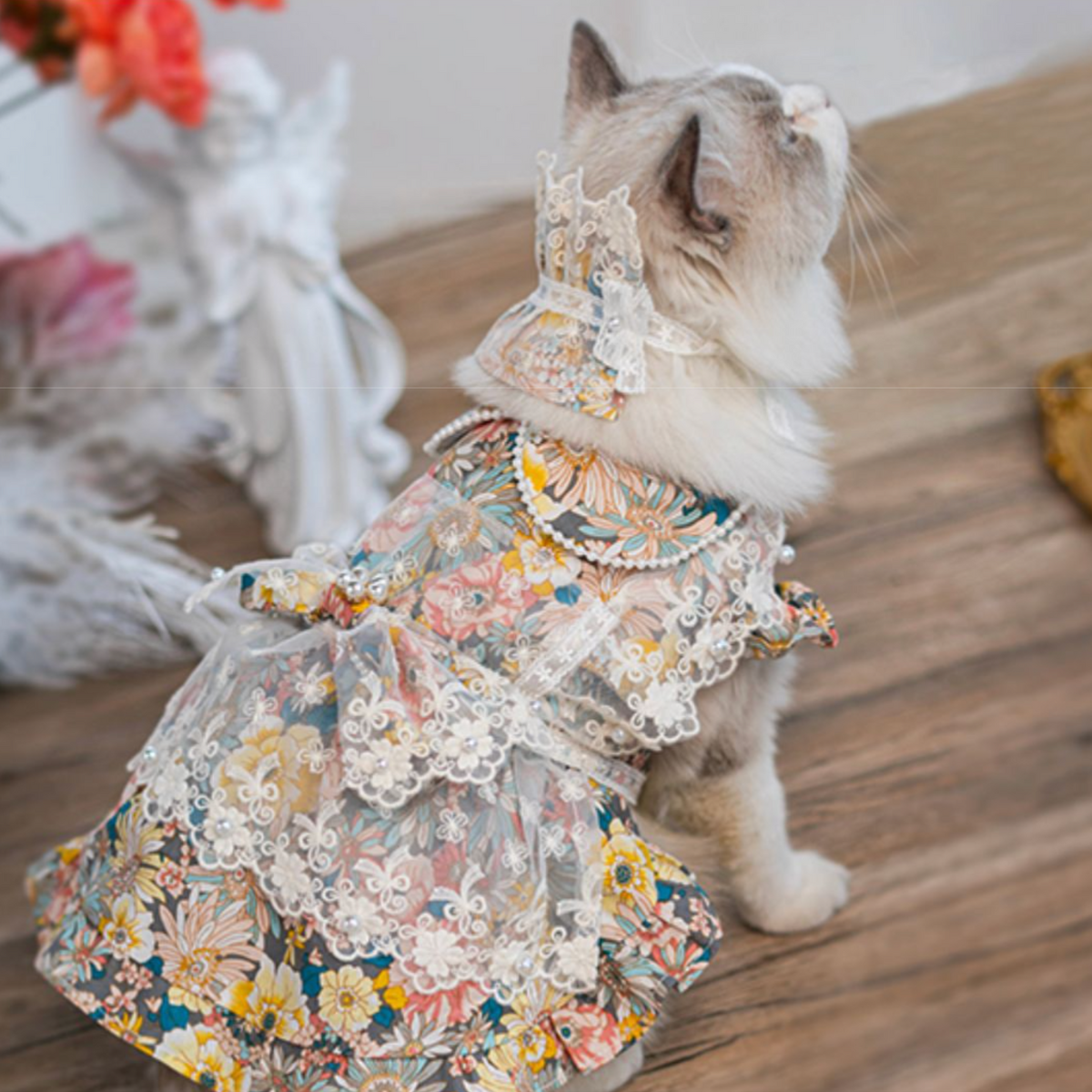 高台のガゼボより 海風と読書