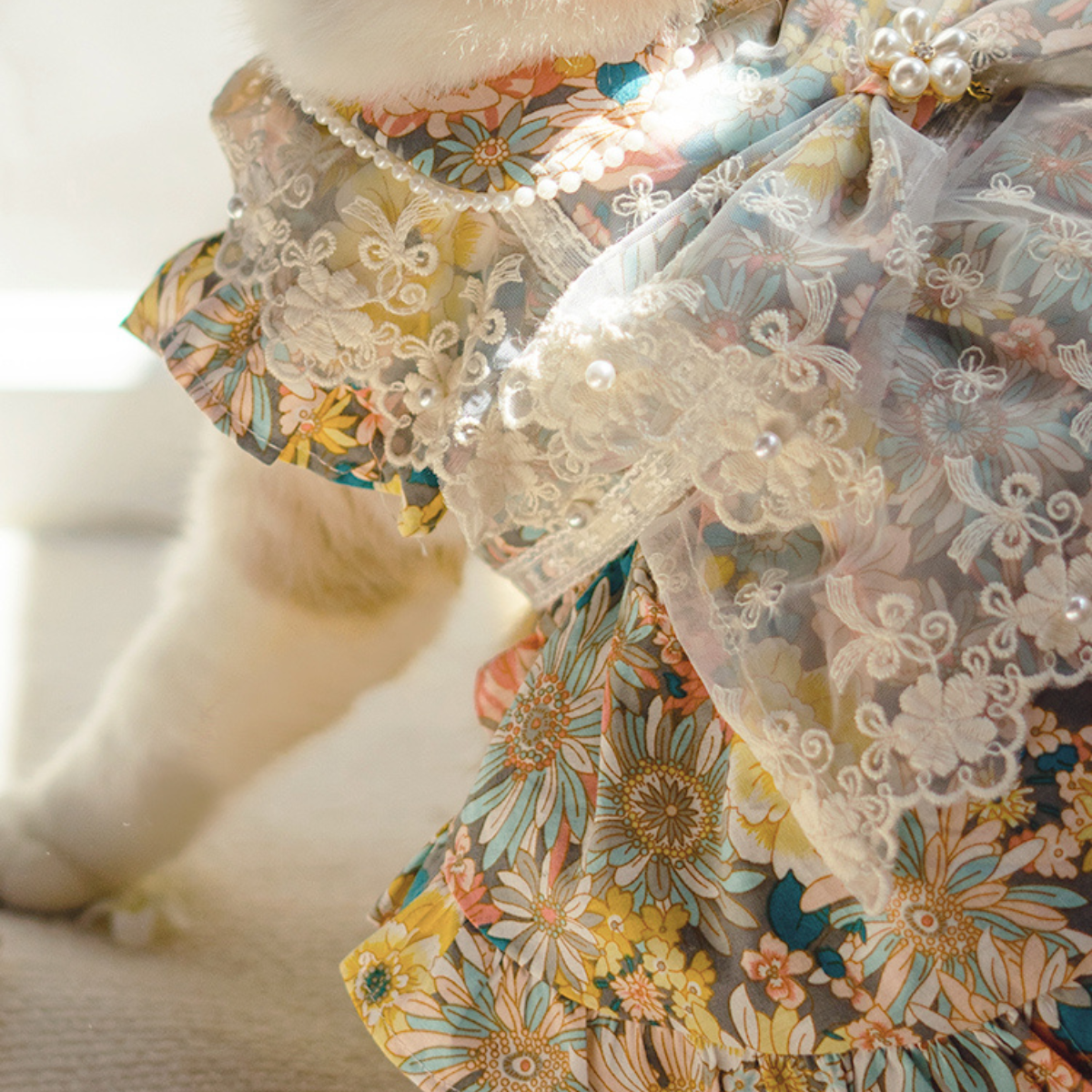 高台のガゼボより 海風と読書