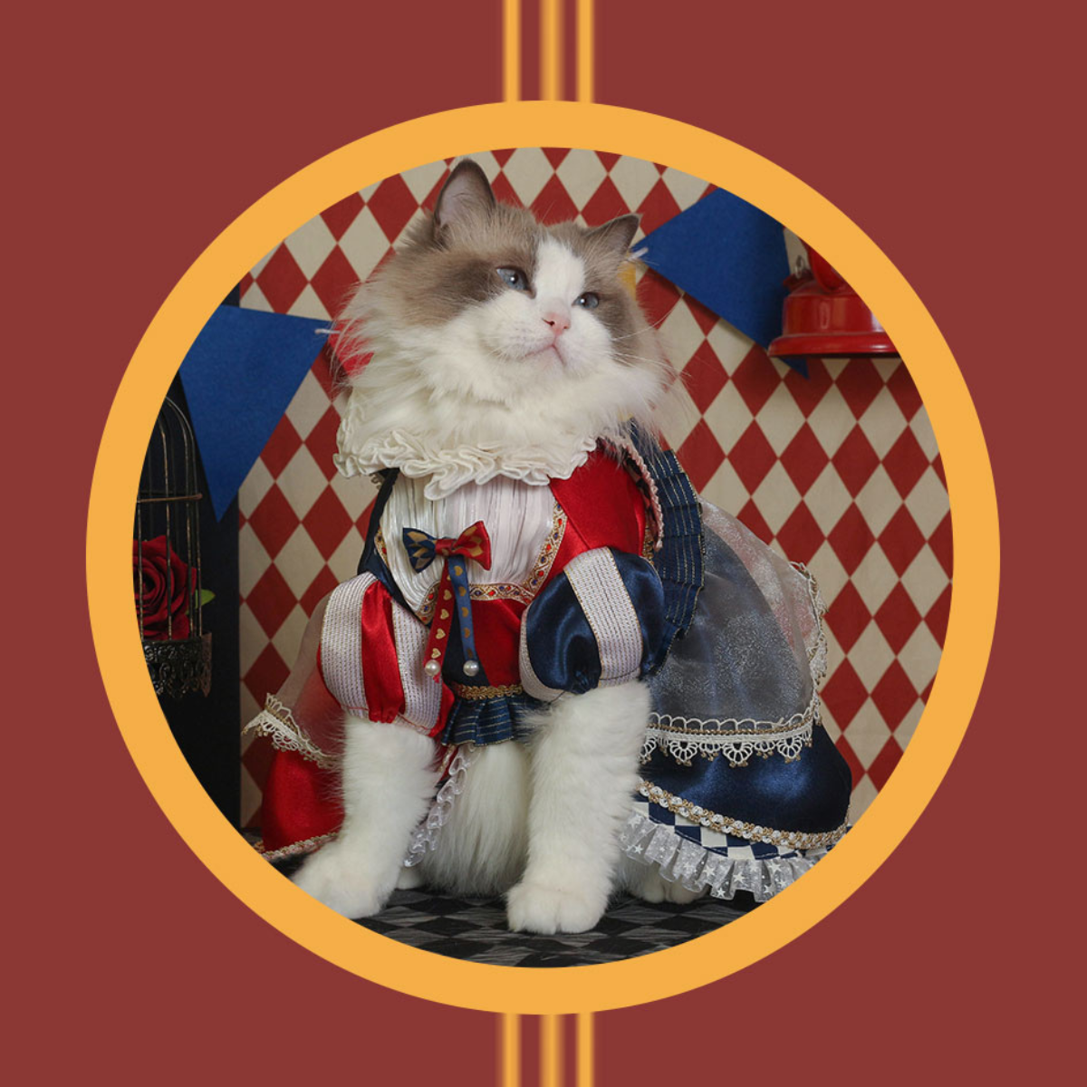 不思議の国のアリス クイーントリックドレス