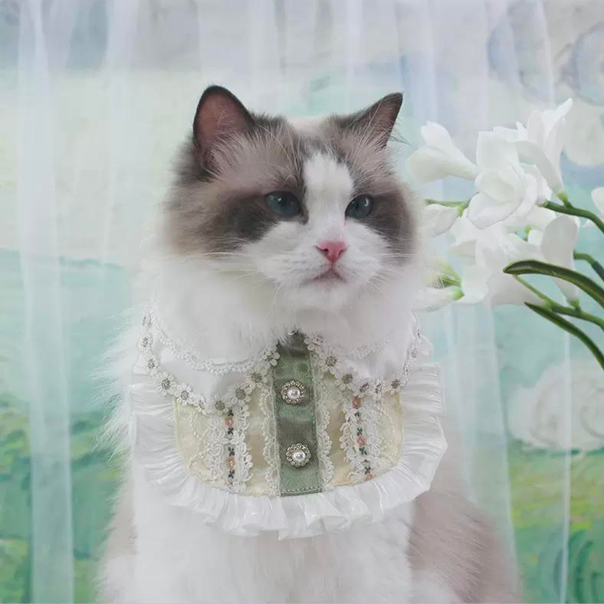 フリージア ドレス フリルスタイ