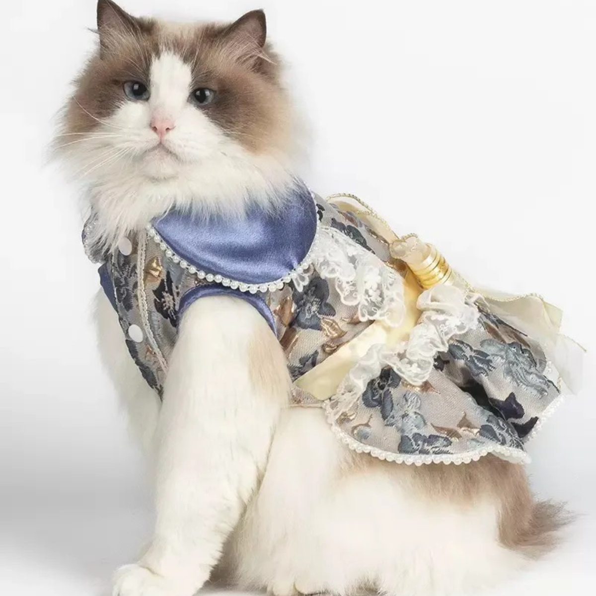 モネの庭 エンボスブルードレス