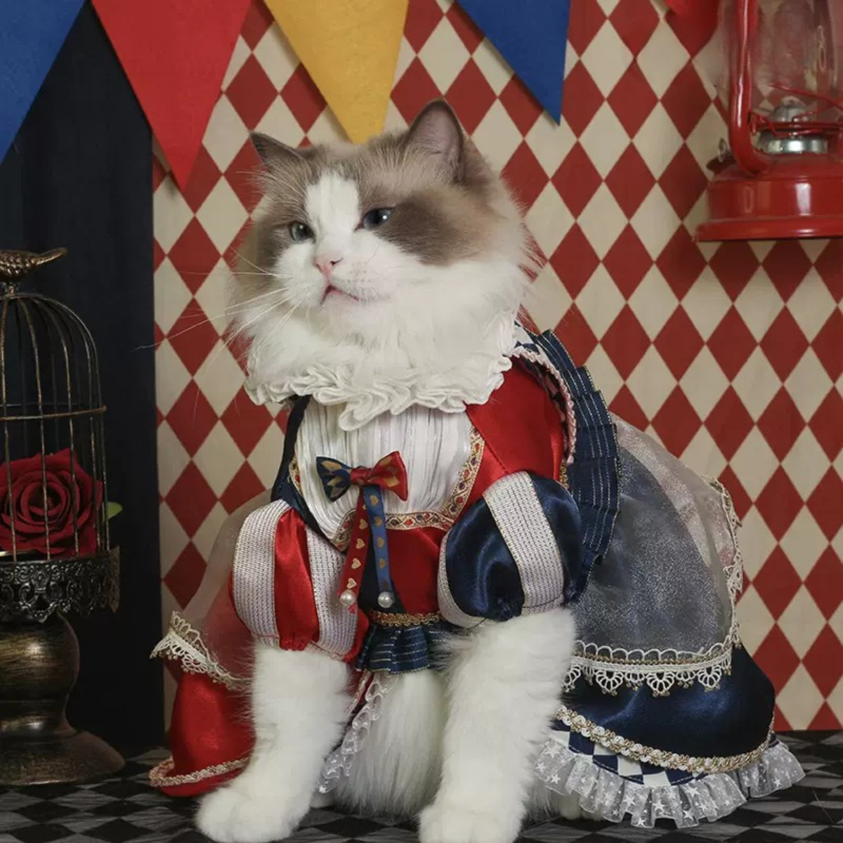 不思議の国のアリス クイーントリックドレス