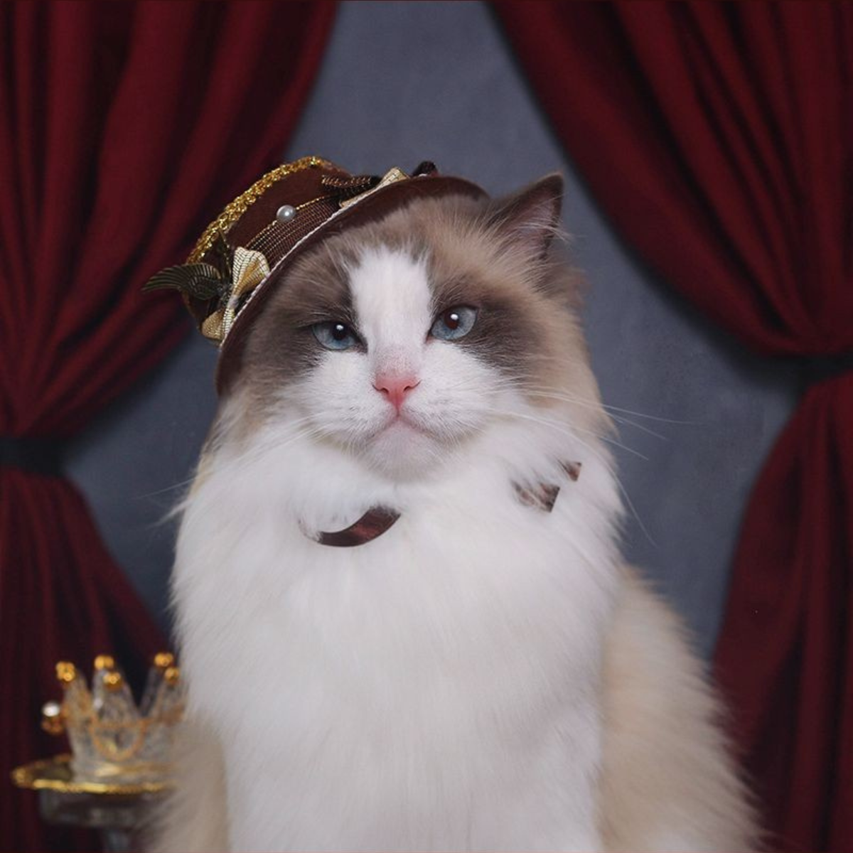 プリンス ブラウンハット