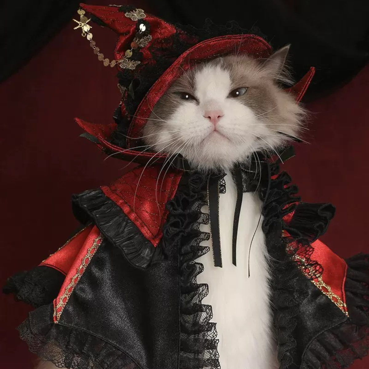 闇夜の覚醒 魔女のマント