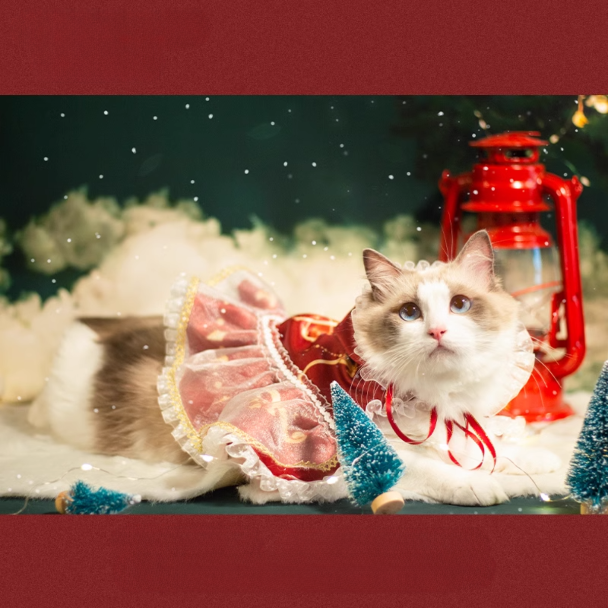 ロマンチックレッド フードマント