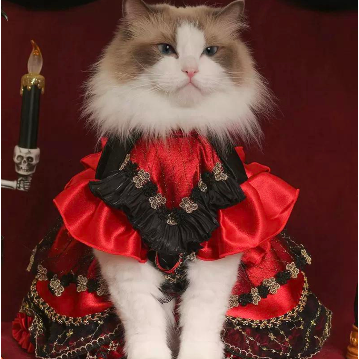 闇夜の覚醒 ミッドナイトドレス