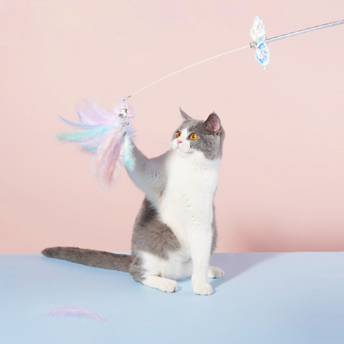 きらきら天使の羽根ねこじゃらし