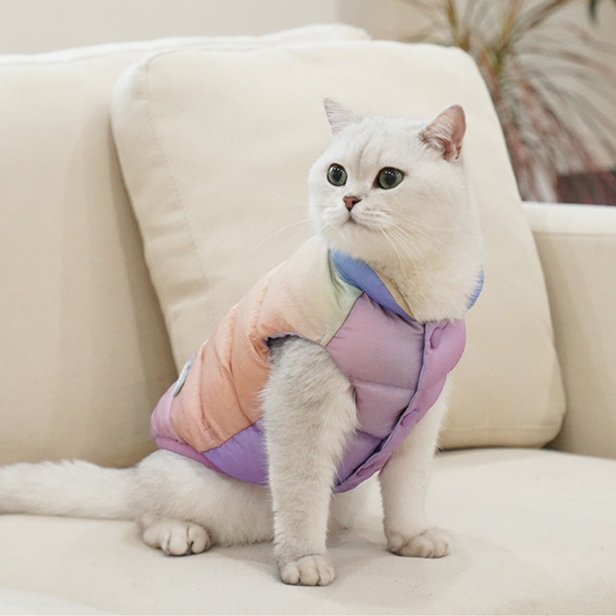 カラフルあったかベスト