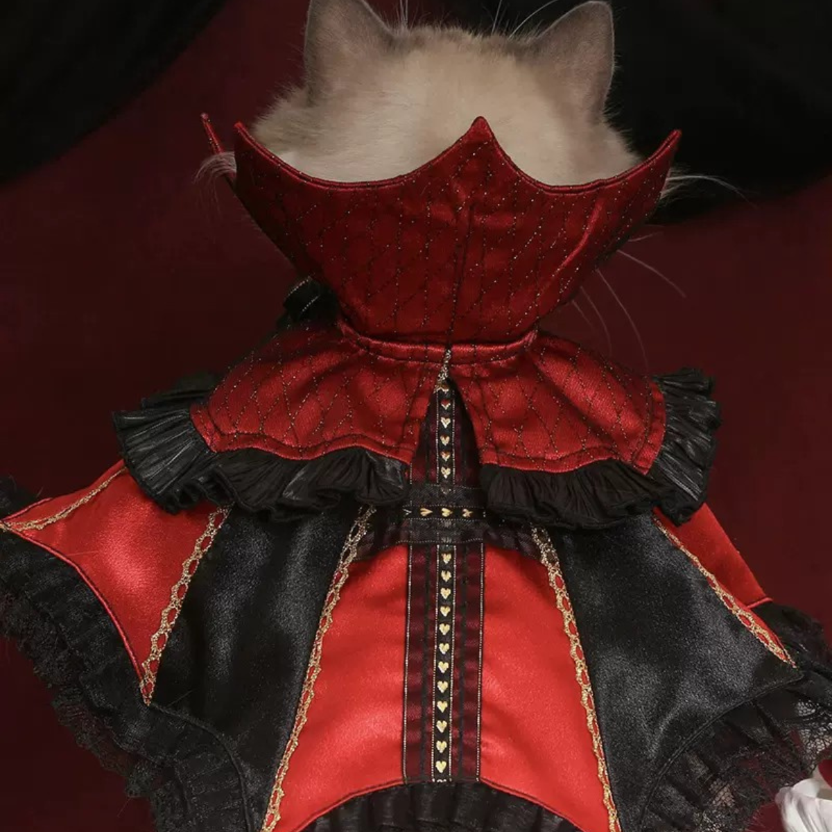 闇夜の覚醒 魔女のマント