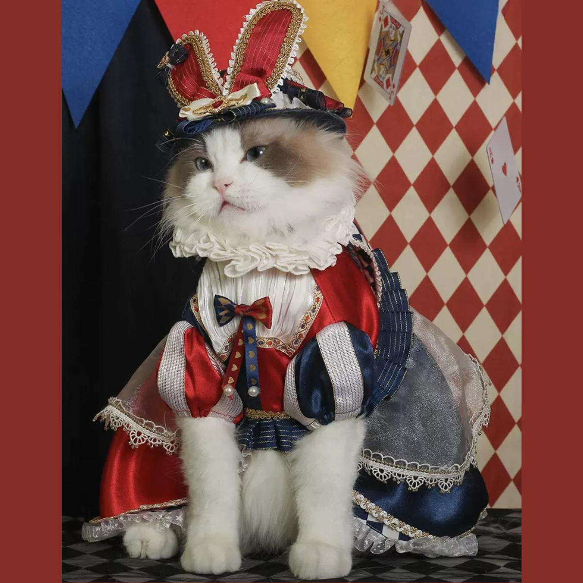 不思議の国のアリス クイーントリックドレス