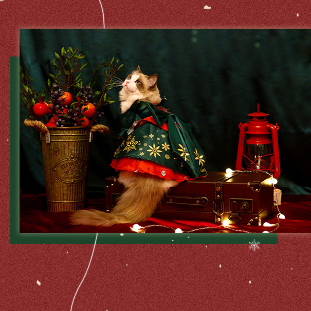 クリスマス・ウィッシュ ドレス