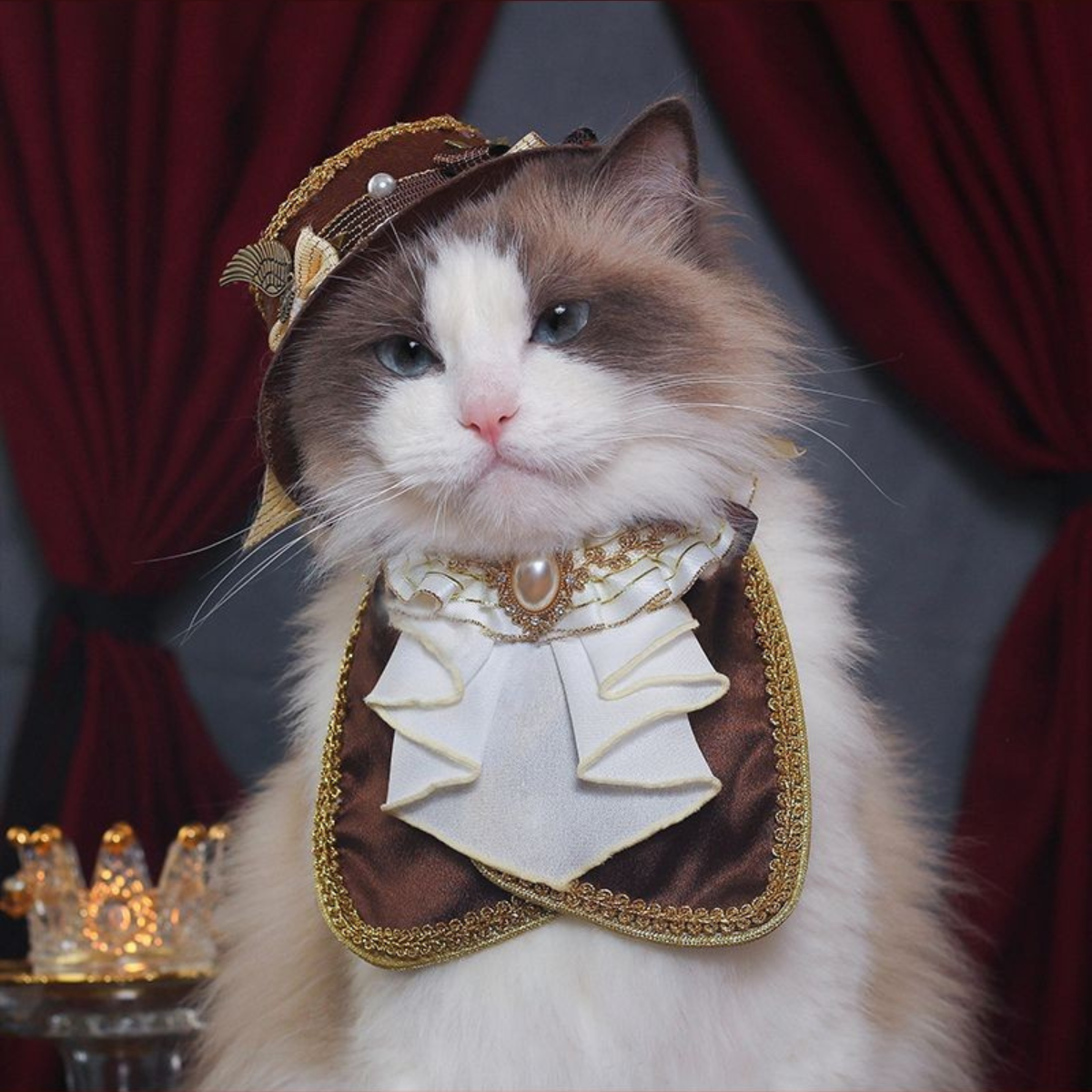 プリンス ブラウンハット