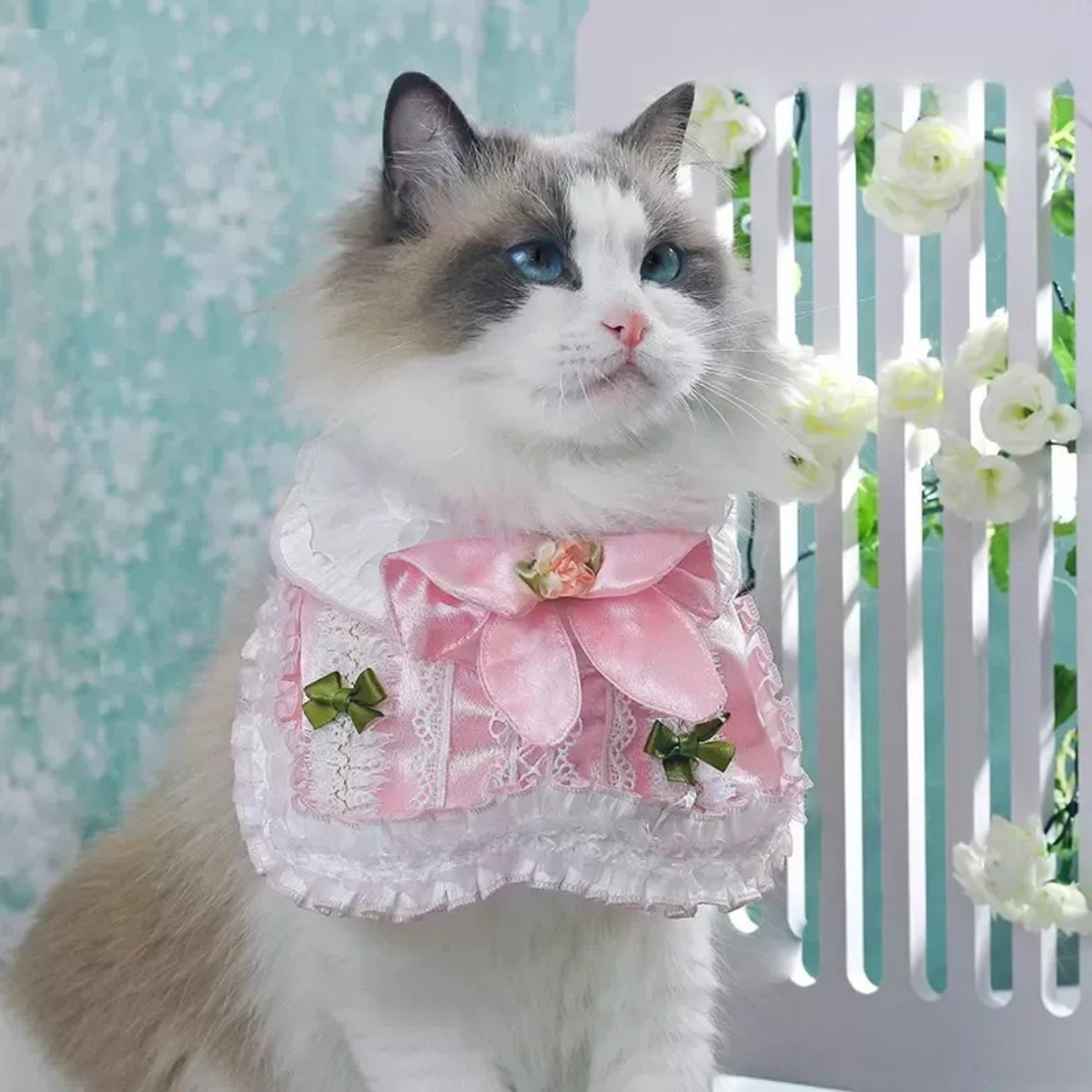 ガーリーピンク フリルリボンスタイ