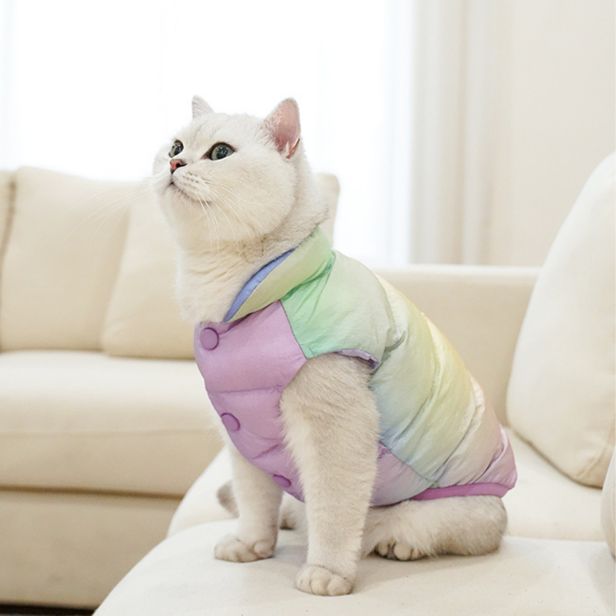 カラフルあったかベスト