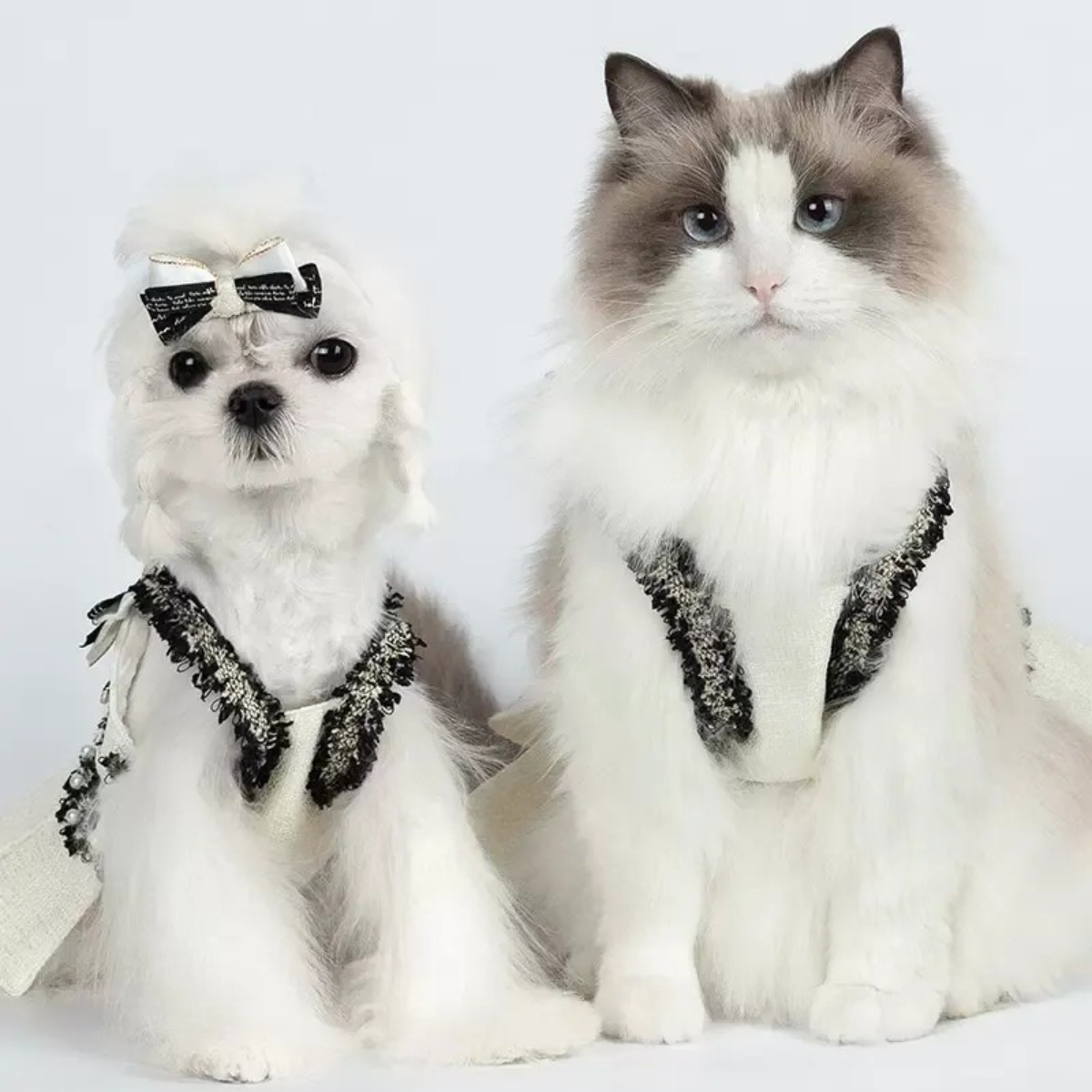 フレグランス サスペンドホワイトスカート