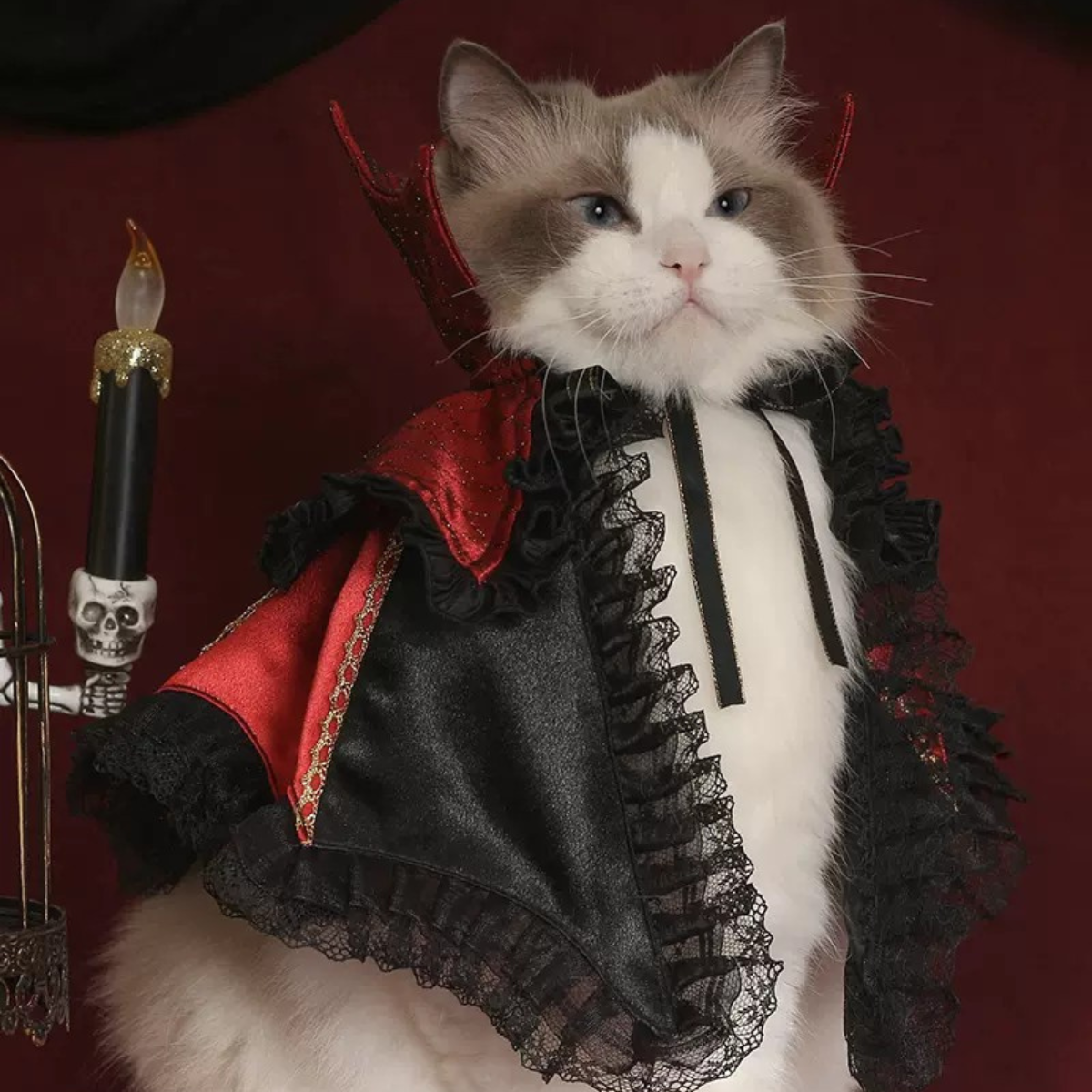 闇夜の覚醒 魔女のマント