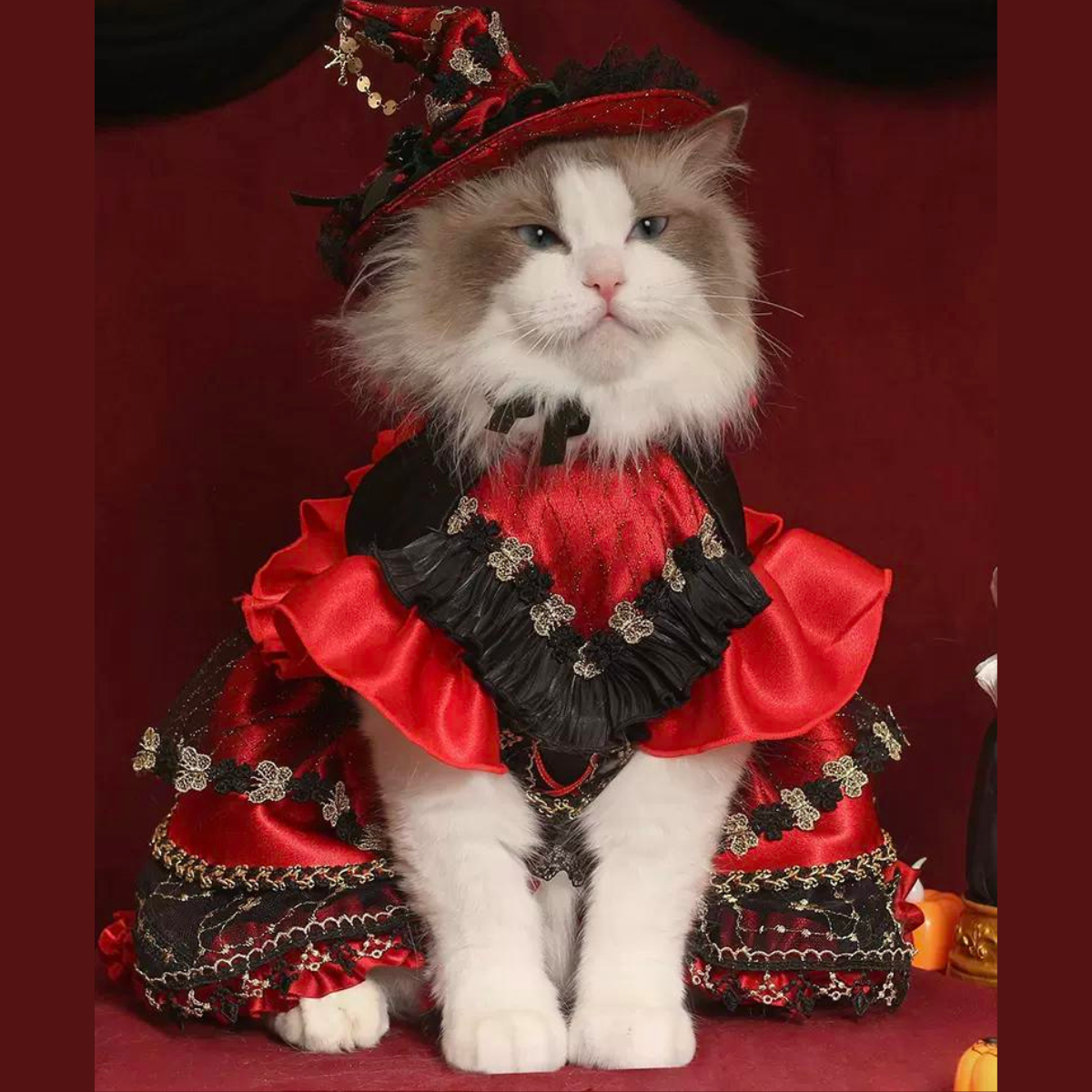 闇夜の覚醒 ミッドナイトドレス