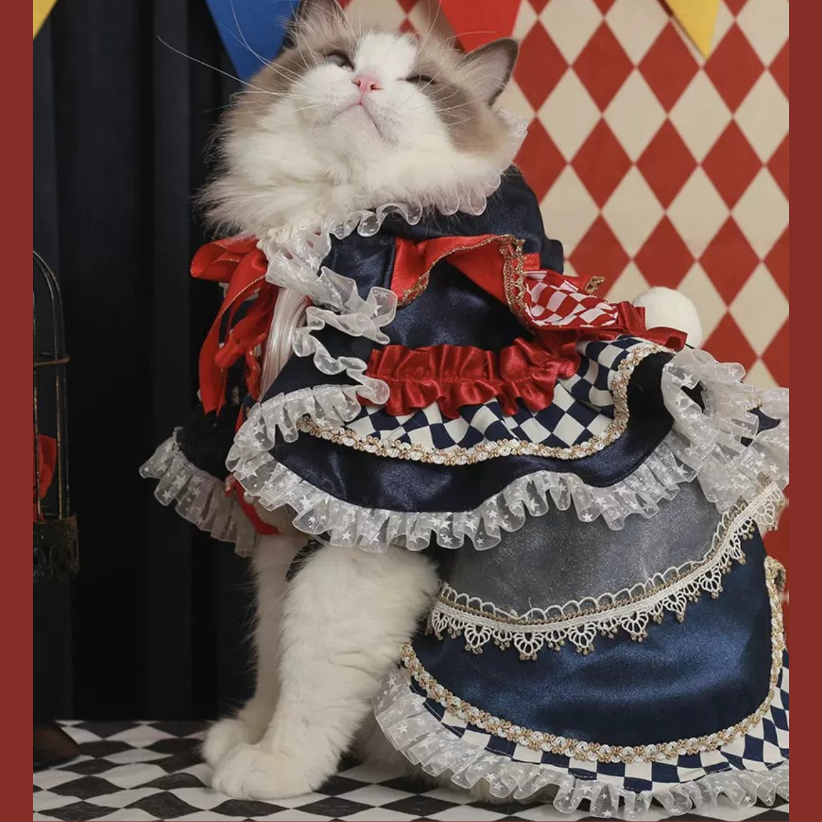 不思議の国のアリス クイーントリックドレス