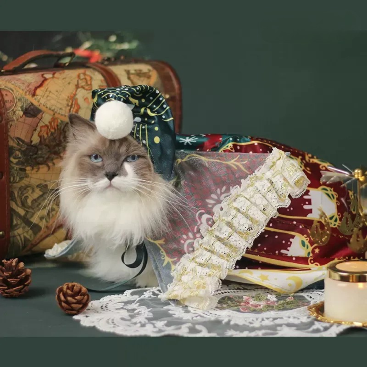 キャンドルライト ケープ