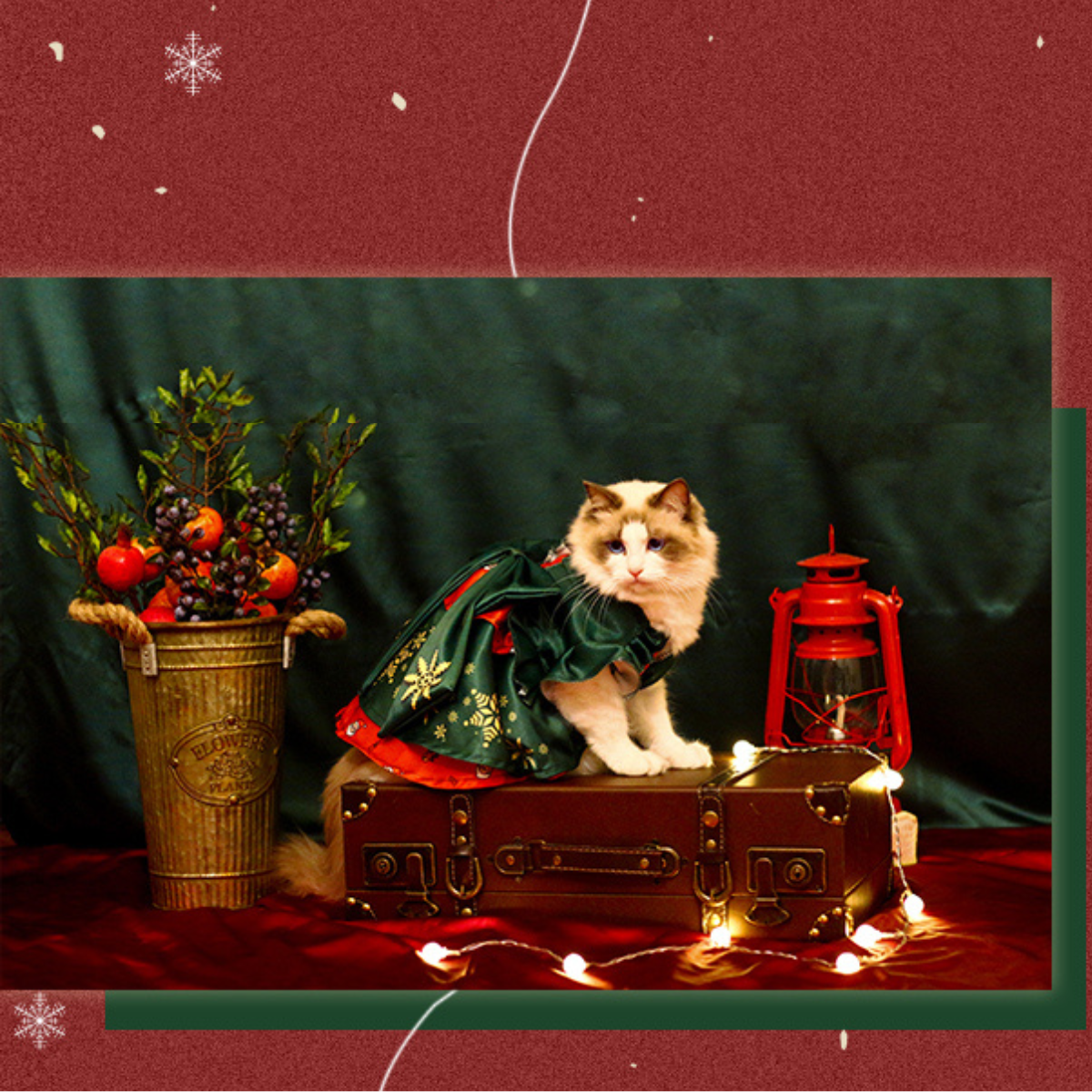 クリスマス・ウィッシュ ドレス