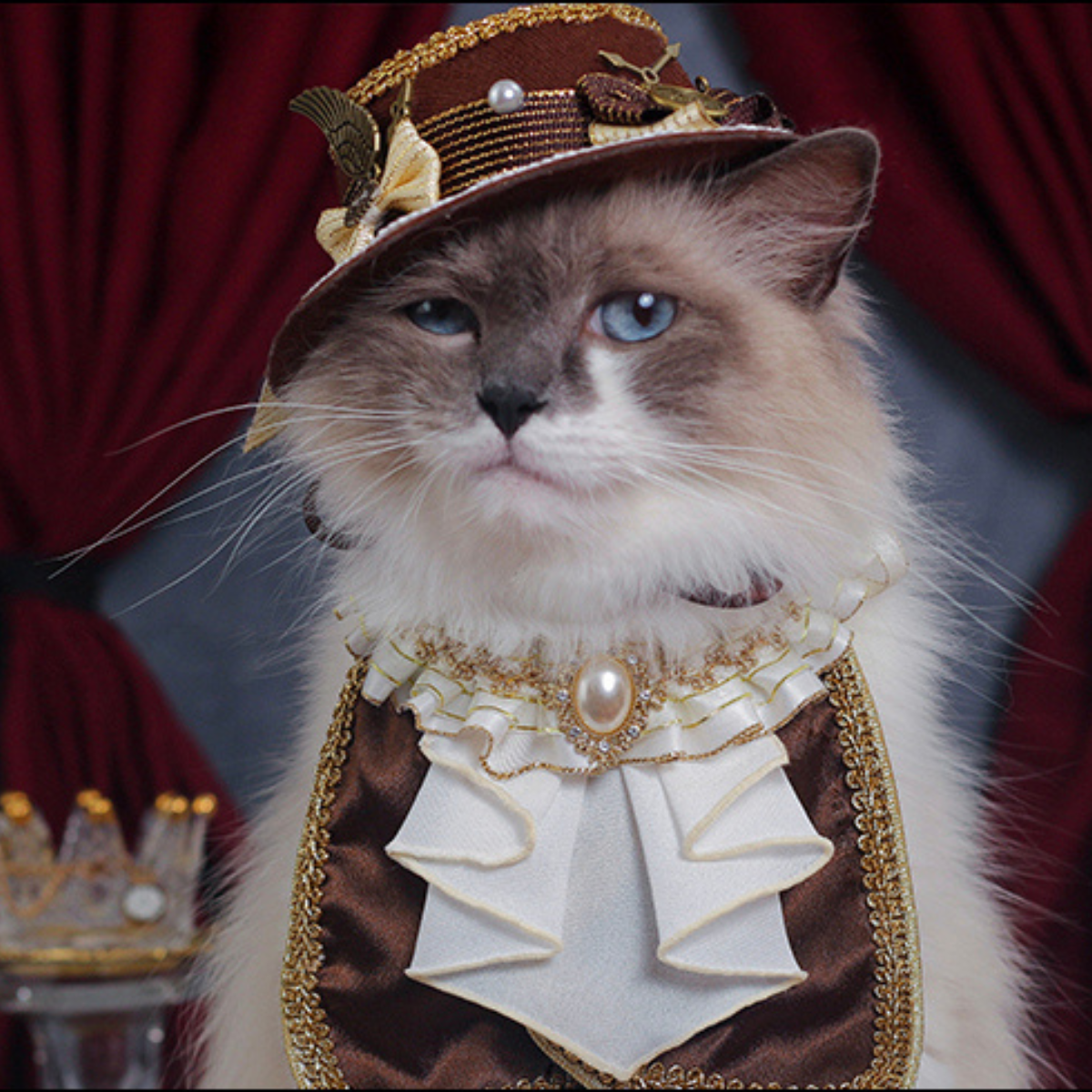 プリンス ブラウンハット