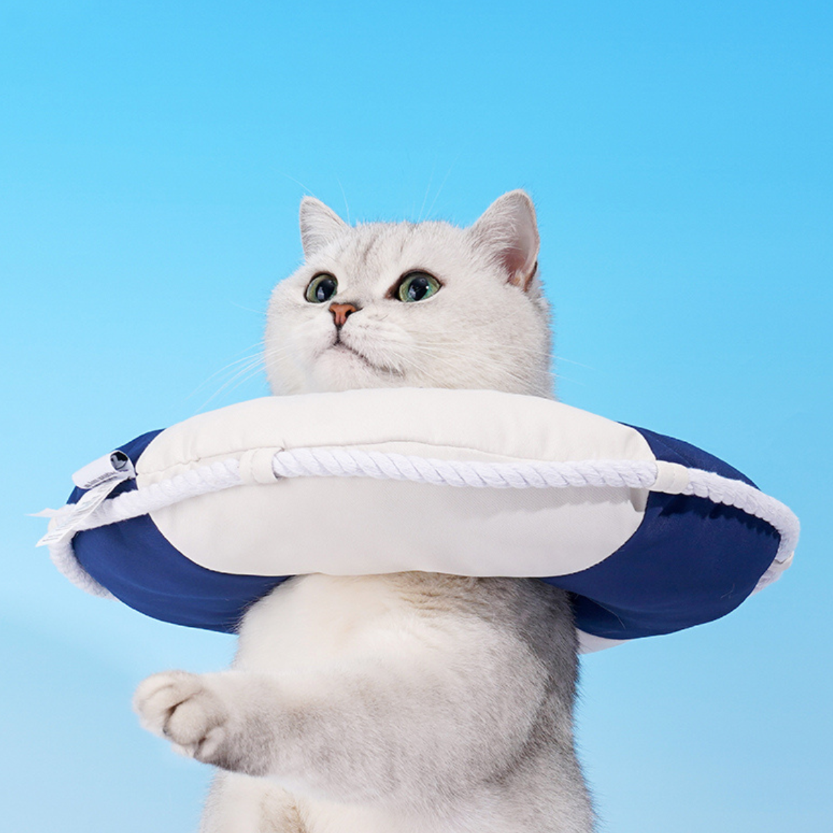 浮き輪マリン エリザベスカラー