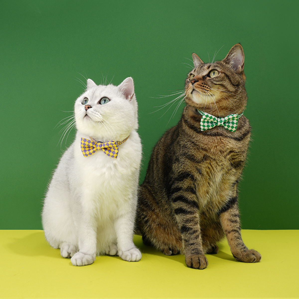 ドット柄蝶ネクタイ首輪